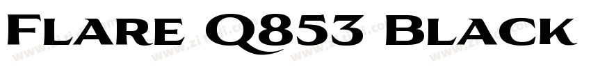 Flare Q853 Black Re字体转换